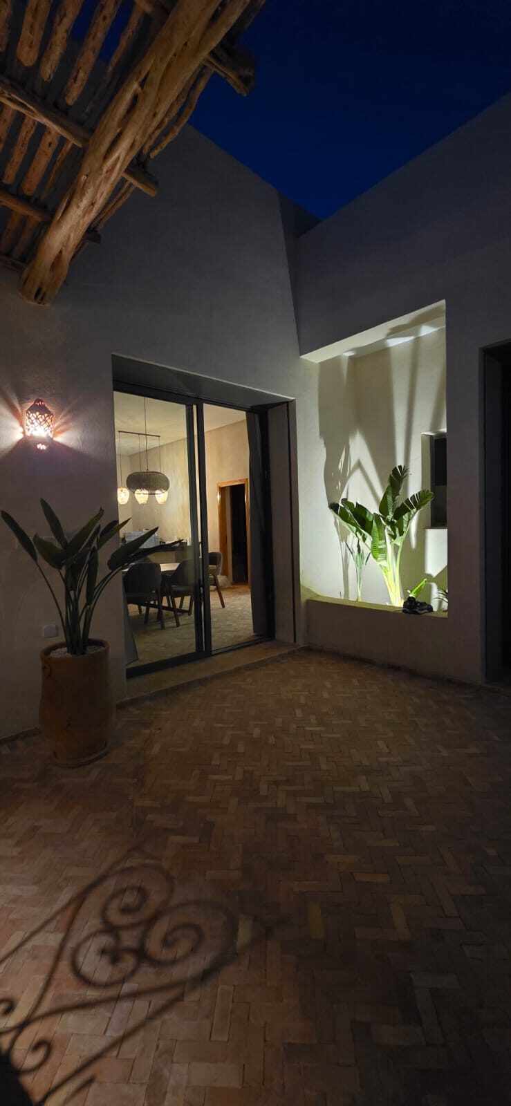 Terrasse la nuit, strelitzia éclairé