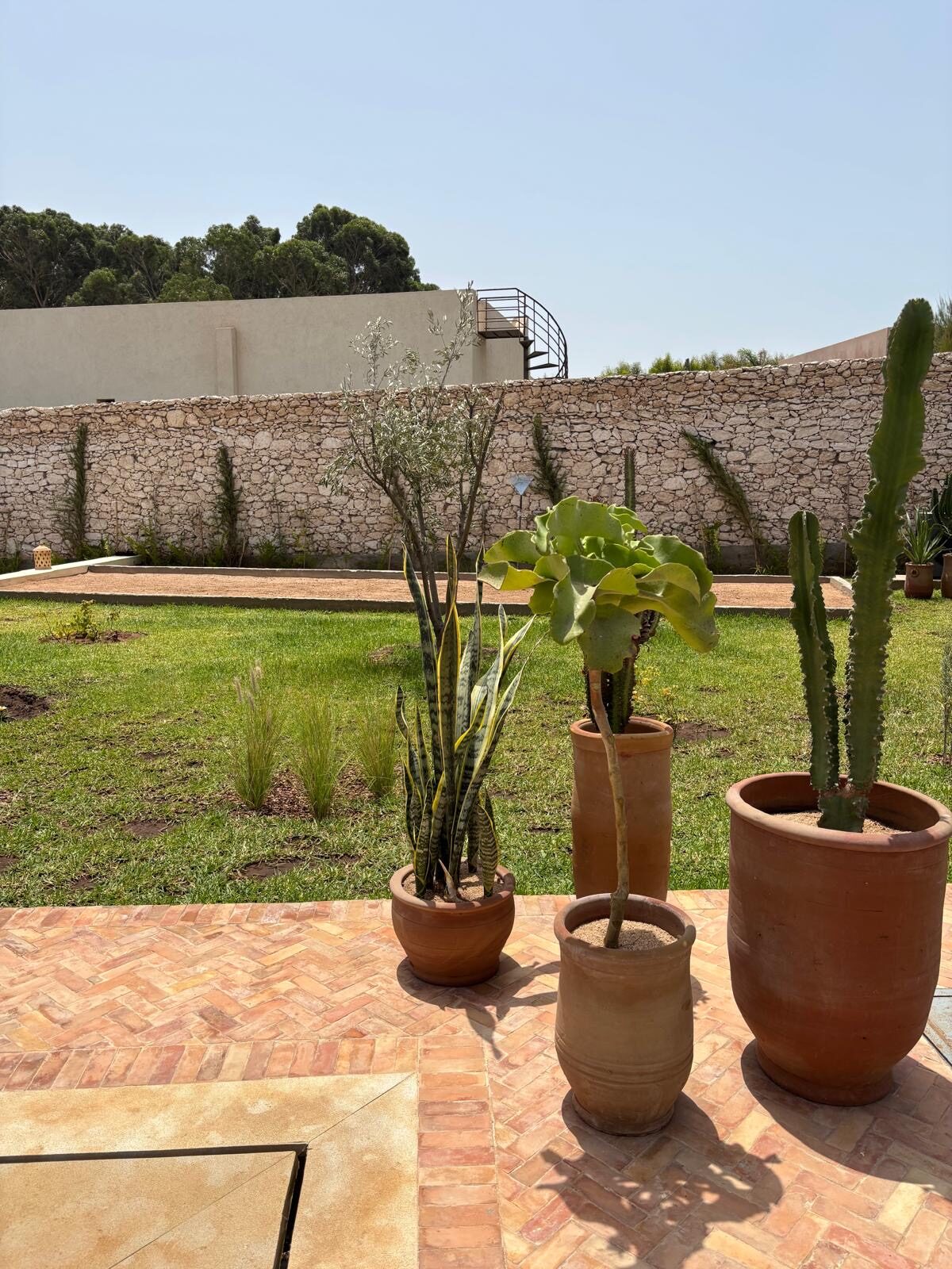 Détails du jardin